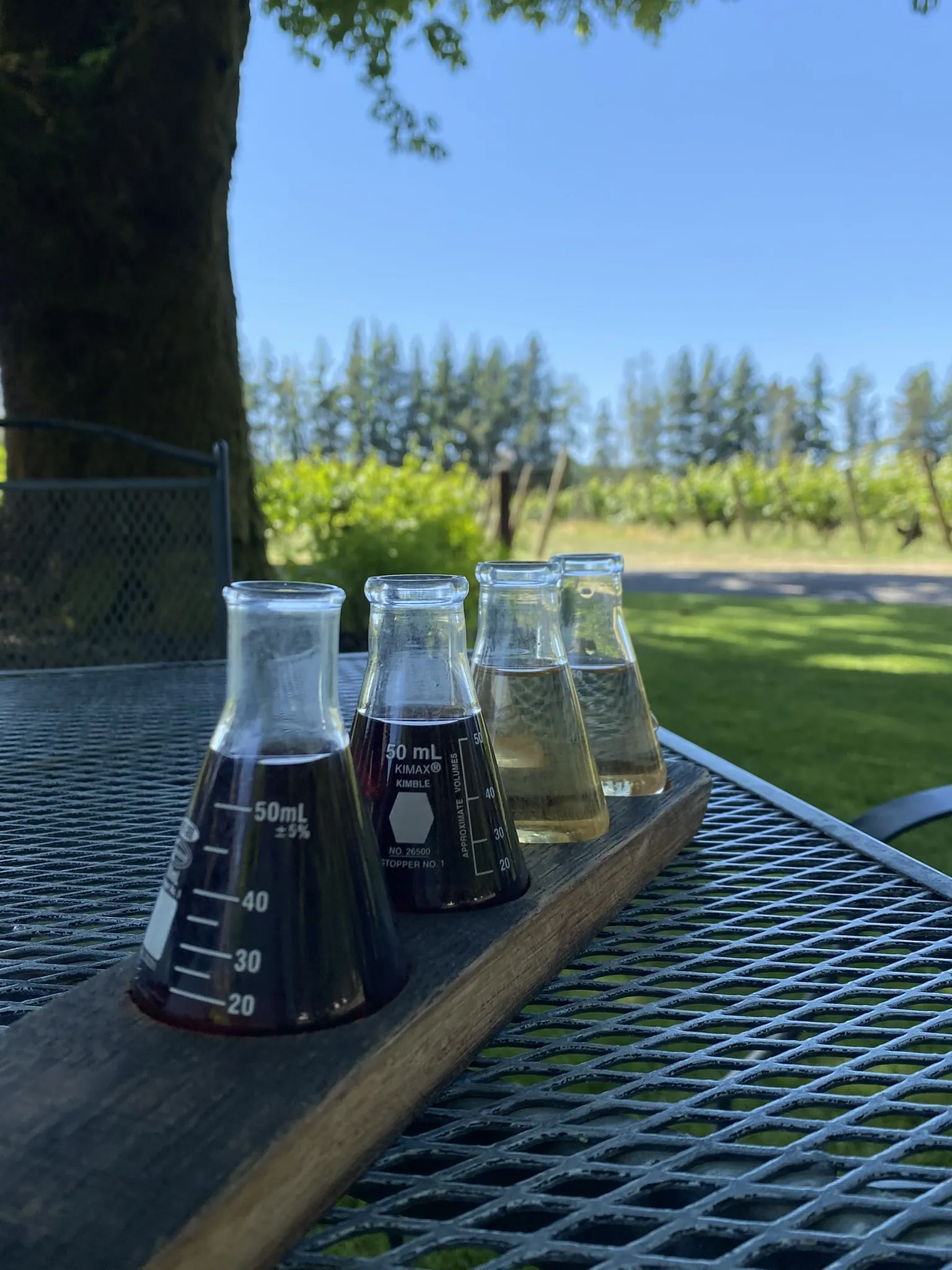 Wine samples in glass carafes on a patio table at the vineyard
