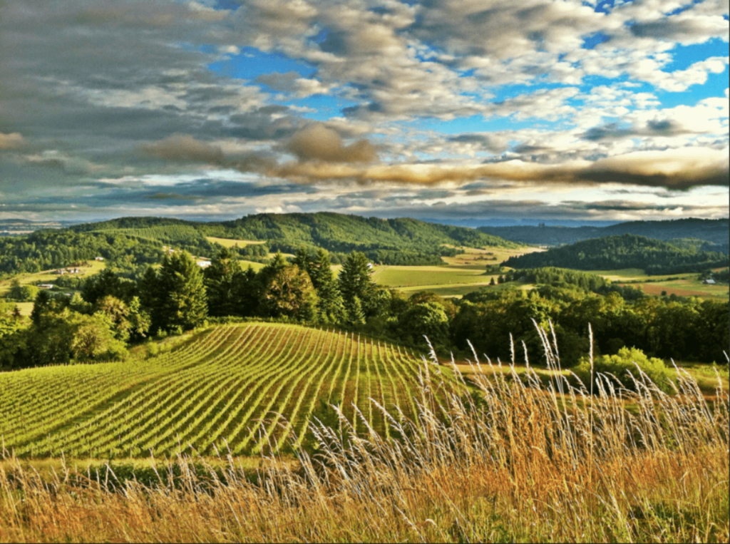 Willamette valley Oregon wine country