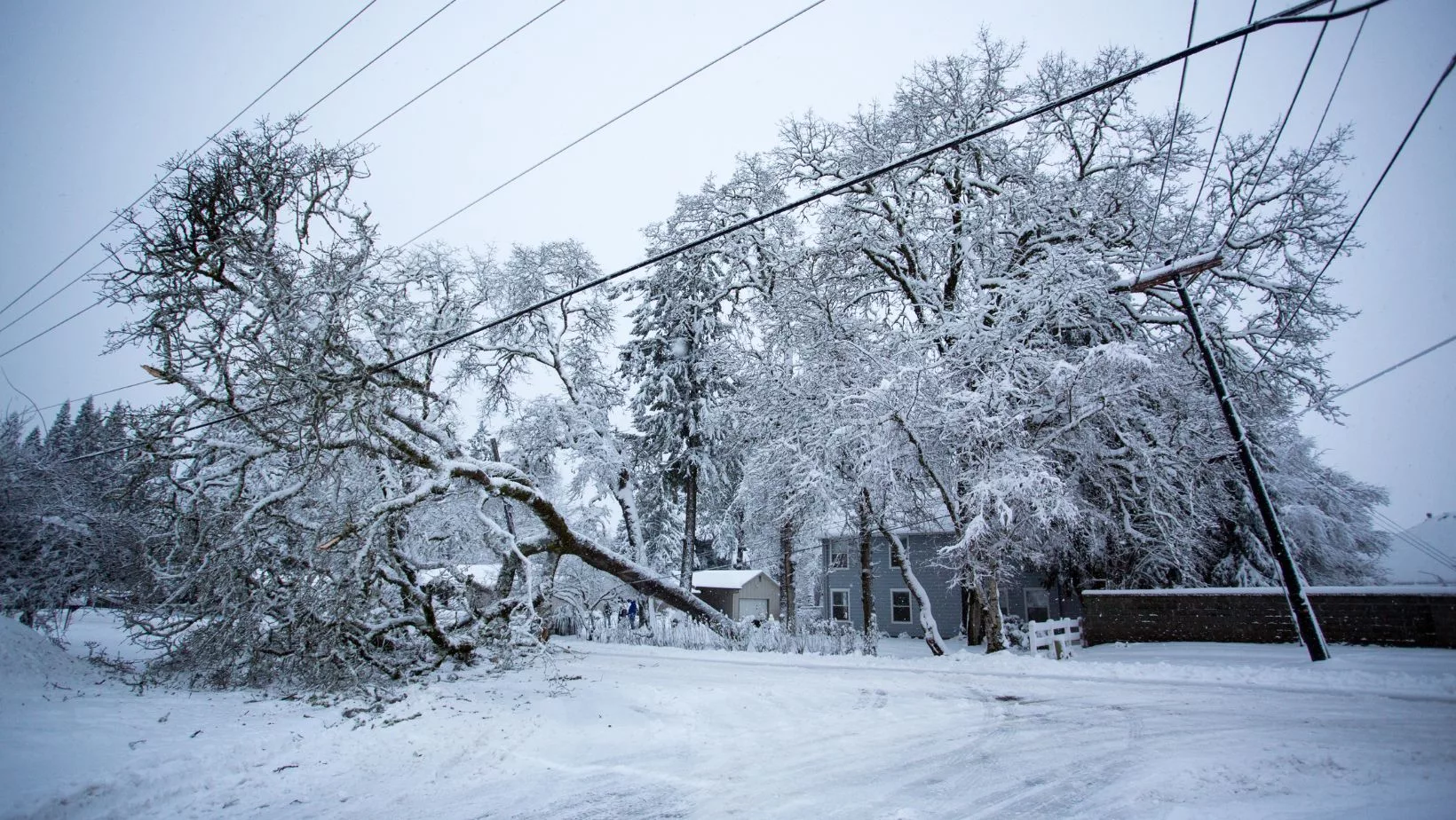 tree fallen on house during winter storm